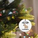 Capybara Ornament, Capybara Ornament, Capybara Gifts, Capybara Tree Decorations, Just a Girl Who Loves Capybaras Ceramic Ornaments, Capybara Decorative Hanging Ornament