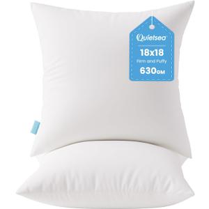 QUIETSEA 18x18 Pillow Inserts, 2 Pack Down Alternative Throw Pillow Inserts, Fluffy Soft Square Decorative Pillows for Bed, Couch and Sofa (White)
