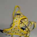 Dog Harness and Leash Set, Adjustable Dog Harness, Dog Leash, No Pull No Choke Puppy Harnesses for Walking Training, Size: L(Chest 18.5 - 27.1", Neck 14.5 - 20.1")