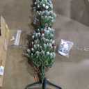 7 Feet Pre-Lit Artificial Christmas Tree with 400 Lights and 1116 Branches