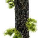 Tfwadmx Fish Tank Tree Trunk Tall Decoration 10.6'' Aquarium Tree Stump Freshwater Saltwater Terrarium Ornament for Goldfish Betta Fish Shrimp Reptile