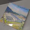 Dallisten 3 Strands Italian Ruscus Artificial Vines, 73" Silk Vine Garland with Green Leaves, Fake Hanging Plants Greenery Decor for Home, Bedroom, Wall, Party, Wedding Decoration