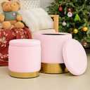 BRIKY Round Storage Ottoman, Pink Velvet Ottoman with Storage for Living Room, Upholstered Ottoman Foot Rest Stool with Gold Plating Base, Pack of 2 Vanity Accent Chairs for Bedroom