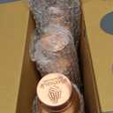 Norman Jr, Copper Water Bottle 1L - Gift Box Of 3, Plain, An Ayurvedic Vessel Made Of Pure Copper - Helps You Drink More Water With Many Health Benefits