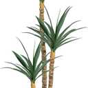 6FT Artificial Tree Faux Agave Plant Indoor, Tall Faux Plant with 3 Heads in Potted Silk Fake Tree for Home Living Rome Office Decor Housewarming Gifts