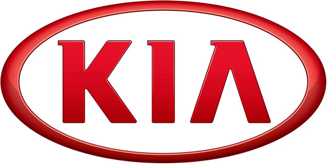Kia 58251-2P500 Parking Brake Backing Plate