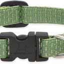 Eco by Lupine 1/2-Inch Recycled Fiber Collar, Adjustable for 8 to 12-Inch Small Dogs, Moss