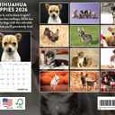 Chihuahua Puppy Calendar 2026 Wall 12 Month Monthly Puppies Chihuahuas Gifts For Chihuahua Lovers Women Men Mom Dad | American Made In The USA