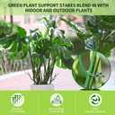 Yhtpouqe 4 Pack Plant Support Stakes, Plant Stakes for Indoor and Outdoor Plants. 28inch Plant Sticks with Extension Poles, Plant Clips, Plant Ties for Potted Monstera Plants, Climbing Plants (Green)