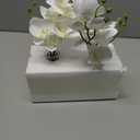 Oairse White Orchids Artificial Flowers Faux Orchid Arrangement with Clear Glass Vase Set of 2 Real Touch Phalaenopsis Orchid Flowers Orchid Centerpiece for Dining Room Table