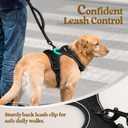 rabbitgoo Dog Harness No Pull with 2 Leash Clips, Adjustable Soft Padded, Reflective Oxford No Choke Pet Vest with Easy Control Handle for Large Dogs, Black, L