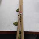 Baby Play Mat Newborn Babies to 18 Months - Leaf Shaped Baby Gym Play Mat with Detachable Hanging Toys for Babies - Playgym for Newborn Sensory Tummy Time Playmats & Floor Gyms for 0-18 Month Old