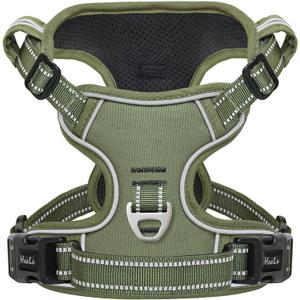 HEELE Dog Harness, Dog Harness for Small Medium Large Dogs No Pull Adjustable Padded Reflective Harness with Handle for Walking Training, Green, XS