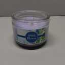 3 Wick Spring Blooms Candle 11oz