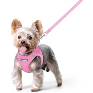 rabbitgoo Dog Harness Small Sized and Leash Set, Step in Soft Light Puppy Vest, Breathable Mesh Pet Harness, Reflective for Safe Easy Walking, Light Pink XS