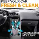Activated Charcoal Odor Absorber for Strong Odors in Car, Closet, Shoe, Basement. 10 Activated Charcoal Bags Odor Absorbers for Home. Bamboo Charcoals Air Purifying Bag Charcoals Deodorizer Eliminator