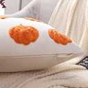 LUOYEHK Halloween Throw Pillow Covers 18x18 Set of 2 Orange Pumpkins Embroidered Pillow Cases Holiday Thanksgiving Velvet Cushion Covers for Couch Sofa Bed