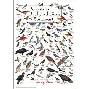 Earth Sky + Water - Petersons Backyard Birds of the Southeast - Poster, 27"L x 19"W