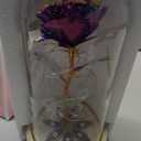 Bignes Galaxy Enchanted Rose Dome with Butterfly Birthday Gift for Woman Mothers Day Flowers Gift for Loved One Rose Flower Gift for Her Valentines Day (Purple Butterfly Roses)