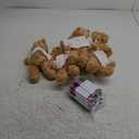 Blueweenly Make Your Own Stuffed Bear Gift Kit 10 Pcs 9.84 Inches Rose Velvet Bear 10 White T Shirt 10 Set 12 Color Watercolor Pen 10 Paper Card DIY