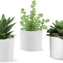 Hopewood Succulent Plants Artificial in White Pots Small Faux Potted Succulents Fake Plants in Vase Set of 3