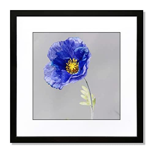 VNVNK 23x23 Frame Black, Perfect for 23x23 Inch Picture without Mat or 19x19 Inch Picture with Mat, Home Wall Decor Picture Frame-1 PCS