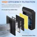 116131 Replacement Filter I for Winix C555 5500-2 Am80 Plasmawave Air Purifier True HEPA Carbon Filter,2 Set