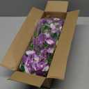 Dolicer 2 Packs Look Real Artificial Flowers for Outdoors, Fake Artificial Hanging Flowers for Outdoors Realistic UV Resistant Hanging Flowers Silk Petunia Faux Flowers for Porch Patio (Mixed Purple)