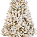 National Tree Company 6 ft Pre-Lit Flocked Acacia Artificial Christmas Tree, 300 Clear Lights, 840 Branch Tips, Includes Stand, Green