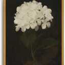 Djmwtb Framed Wall Art Vintage Wall Decor Hydrangea Canvas Art Floral Pictures Botanical Paintings Dark Prints Moody Artwork for Bedroom Living Room