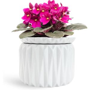 6 Inch African Violet Pots Self Watering, Ceramic Planter with Water Reservoir and Fill Lines, 4 Inch Opening, Indoor Flower Pot, Holds 3 Weeks of Water (1 Pack)