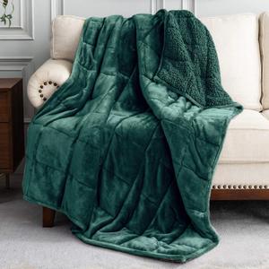 Uttermara Weighted Blanket for Adults, Twin Size Heavy Blanket with Reversible Soft Shiny Velour Fleece and Cozy Warm Sherpa for Couch Bed, Calming and Relaxing, 48 x 72 inches 12 lbs in Green