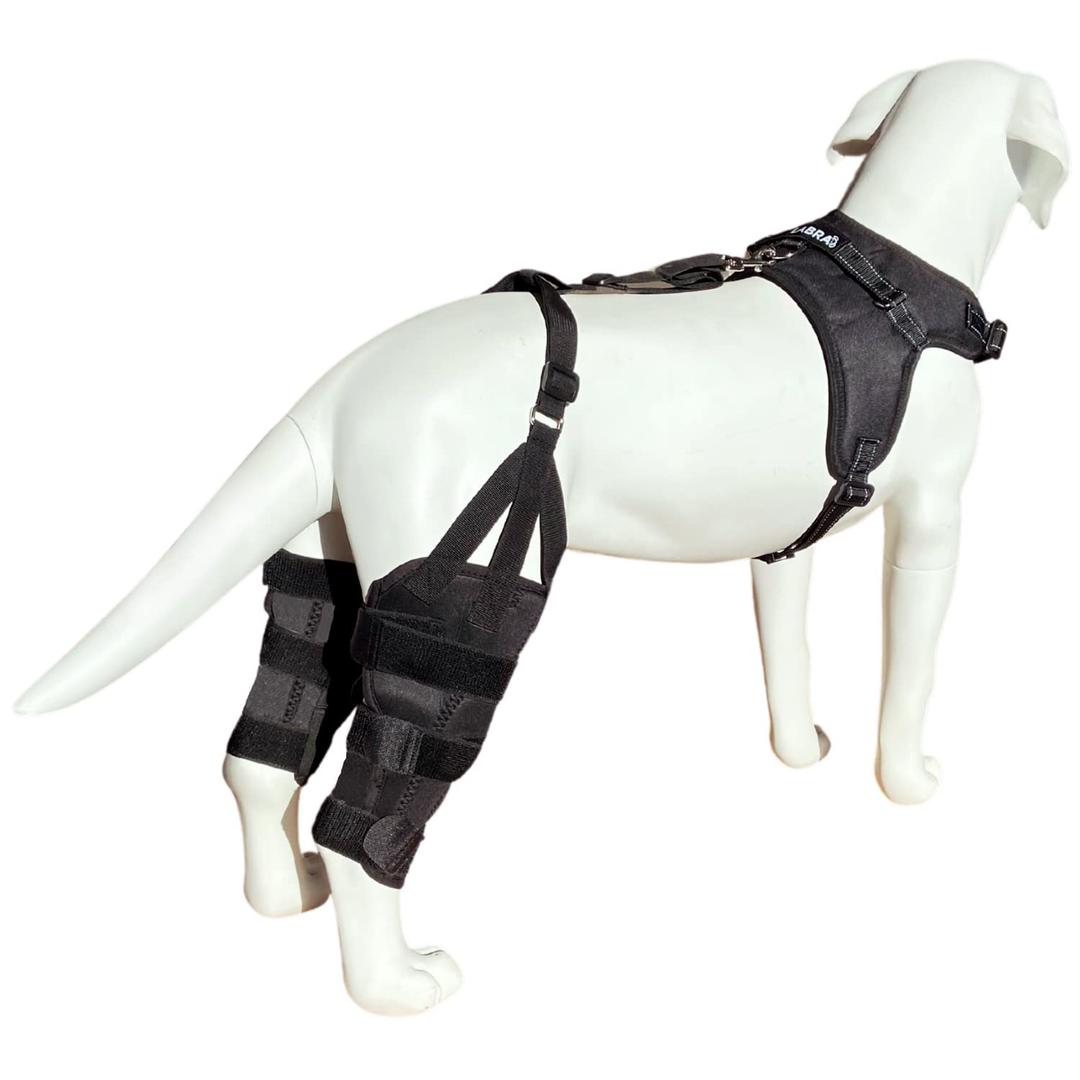 Labra Dog Canine Dual Knee Stifle Brace Wrap, Double Metal Splint Hinged Flexible Support Brace for K9 ACL, CCL, Luxating Patella, Cruciate Ligament Sprains in Back, Rear, Hind Legs - Large