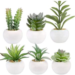 GREENTIME 6 Pcs Green Artificial Succulent Plants in Mini White Ceramic Pots Small Fake Succulent Plant Faux Indoor Decor Bedroom Desk Bathroom Office Living Room Table Shelf Home Decoration