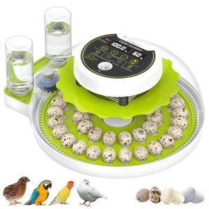 Quail Egg Incubator for Hatching Eggs with Automatic Egg Turning and Humidity Control, 40 Quail Eggs Capacity Brooder Poultry Incubators, Also for Partridge, Parrot, Pigeon, and Other Types of Bird
