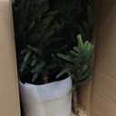 Artificial Norfolk Pine Christmas Tree - 4Ft Realistic Faux Christmas Tree for Home Indoor Outdoor Christmas Decorations