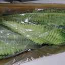 CQURE 50" Large Fake Fern Artificial Ferns for Outdoors,96 Branches Set of 2 Realistic Artificial Boston Ferns Bush Plant for Indoor Outdoor Garden Porch Decor
