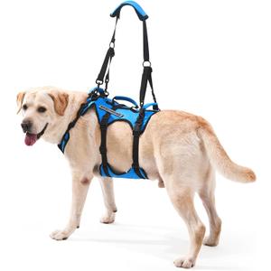 Dog Lift Harness for Large Dogs, Full Body Support Sling with 3 Handles and Shoulder Strap, Carrying Vest for Senior Dogs with Arthritis or Joint Injuries, Stairs Assistance, Blue, X-Large