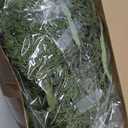 Willinglong 12 Pack Christmas Pine Placemats Bulk 20 Inch Christmas Large Round Artificial Realistic Pine Branches Place Mats for Xmas Dining Table Party Decorations