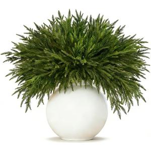 Cieex 16 Pcs Artificial Norfolk Pine Branches - Real Touch Pine Stems Fake Plants Pine Picks Faux Greenery Stems for Vase DIY Crafts Garland Wreath Christmas Indoor Outdoor Home Decor