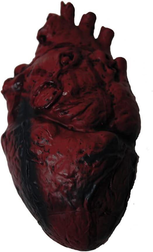 Fake Bloody Heart Prop Halloween Decoration, Realistic Human Body Part for Prank, Spooky, Creepy Decoration (Pkg of 1)