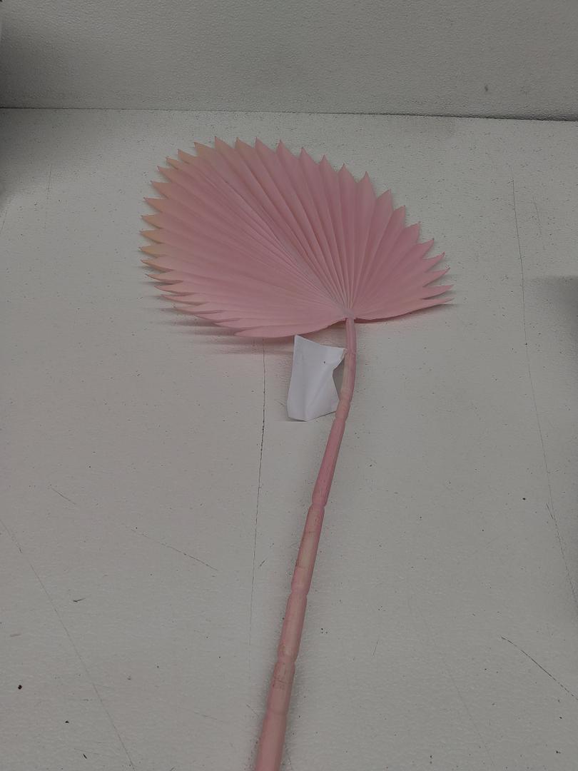 Spring Summer Declaration, 1 Pack