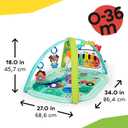 Baby Einstein Farm Explorers 4-in-1 Kickin Tunes Musical Meadow Music & Language Discovery Gym, Ages 0 Months and Up