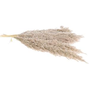 STOBAZA 3sets Dried Flower Arrangement Preserved Floral Decor for Home Wedding and Rustic Table Centerpieces Natural Touch Eucalyptus and Flowers Box