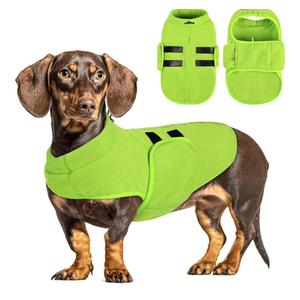 Queenmore Soft Fleece Dog Jacket, Warm Winter Dog Clothes with Leash Hole, Dachshund Sweater for Small Dogs Cats Boy or Girl (Green, xxs)