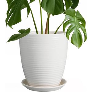 8 Inch Ceramic Planter Pot Round Plant Pot with Drainage Hole and Saucer Modern Flower Pot for Indoor Outdoor Plants White (Matte White)