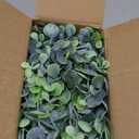 DearHouse Faux Eucalyptus Garland Plant, 2 Pack Artificial Vines Hanging Eucalyptus Leaves Greenery Garland for Wedding Backdrop Arch Wall Decor, 6 Feet/pcs UV Protected Indoor Outdoor