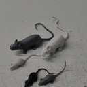 Fake Rat Prank Stuff - Plastic Mouse Halloween Decorations 6 PCS Realistic Rubber Mice for April Fools Tricks