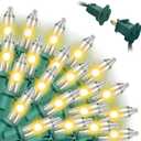 LED Christmas StringLights 20FT 100 Count, Mini Waterproof Christma String Lights, Warm White Mini LED Lights Plug in, Outdoor Christmas Lights for House, Tree Lights for Patio Garden Porch (2F)