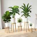 5-Pack Wood Plant Stands Indoor, Single Plant Stand for 6-22 Inch Pots, Mid-Century Modern Plant Stool, Tall Plant Stand for Large Plants Perfect Fit for Living Room, Balcony, Office (Light Brown)